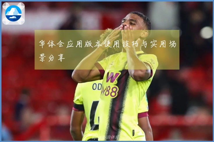 华体会应用版本使用技巧与实用场景分享